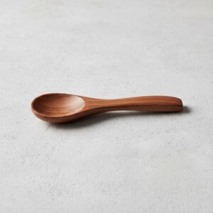 Condiment Spoon